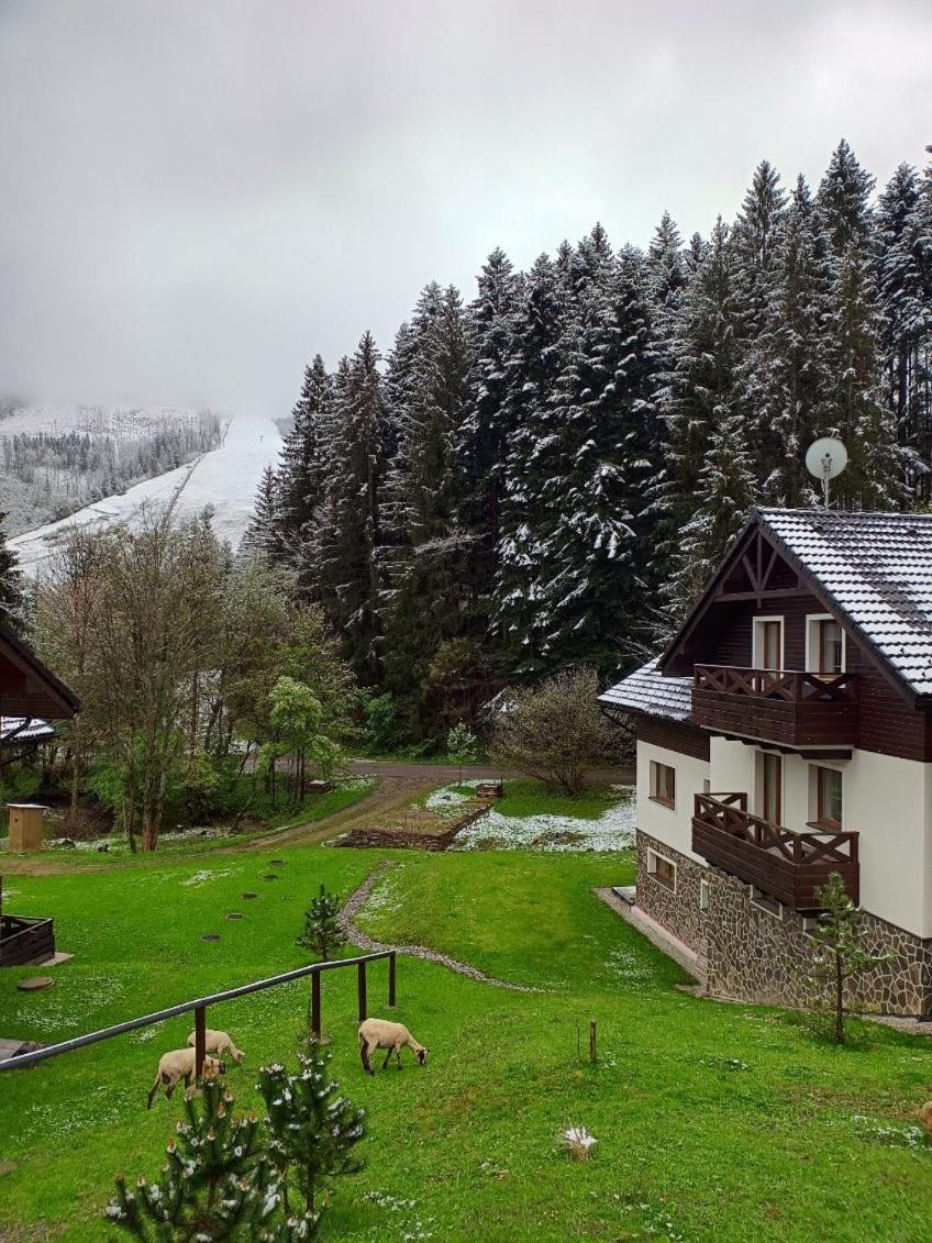Apartman Grun -Vratna-Paseky Zilina Bagian luar foto